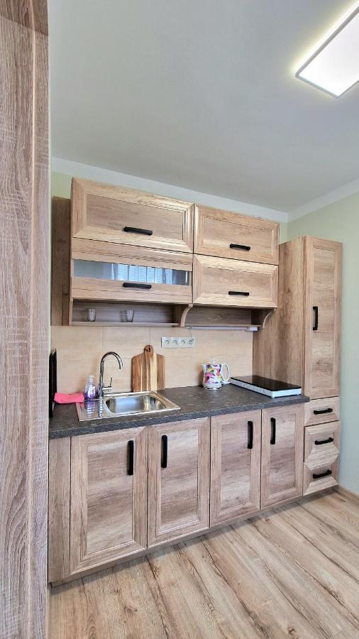 Tepla Apartment Теплице Екстериор снимка